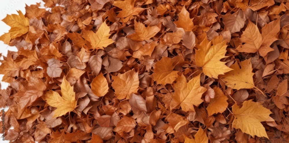 Crisp brown leaves piled high, isolated on white , wildlife, element, colorful Crisp brown leaves piled high, isolated on white , wildlife, element, colorful