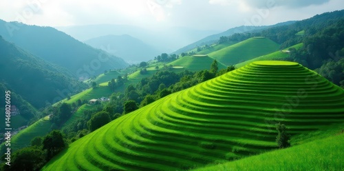 Rolling green hillside terraces, gentle slope, aerial view, slope, drone, waves