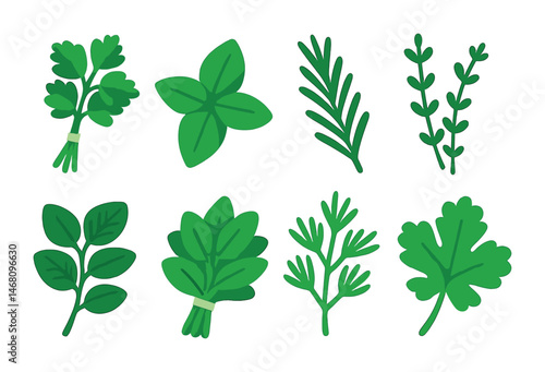 Flat vector icons of farm-fresh herbs: parsley bunch, basil leaves, rosemary sprig, thyme twigs, mint stems, oregano bundle, dill stalks, cilantro icon.