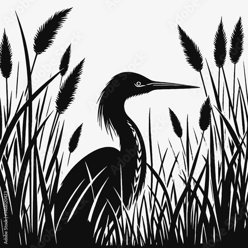 vector silhouette of a bittern bird hidden among reeds, long neck, subtle curves, white background 