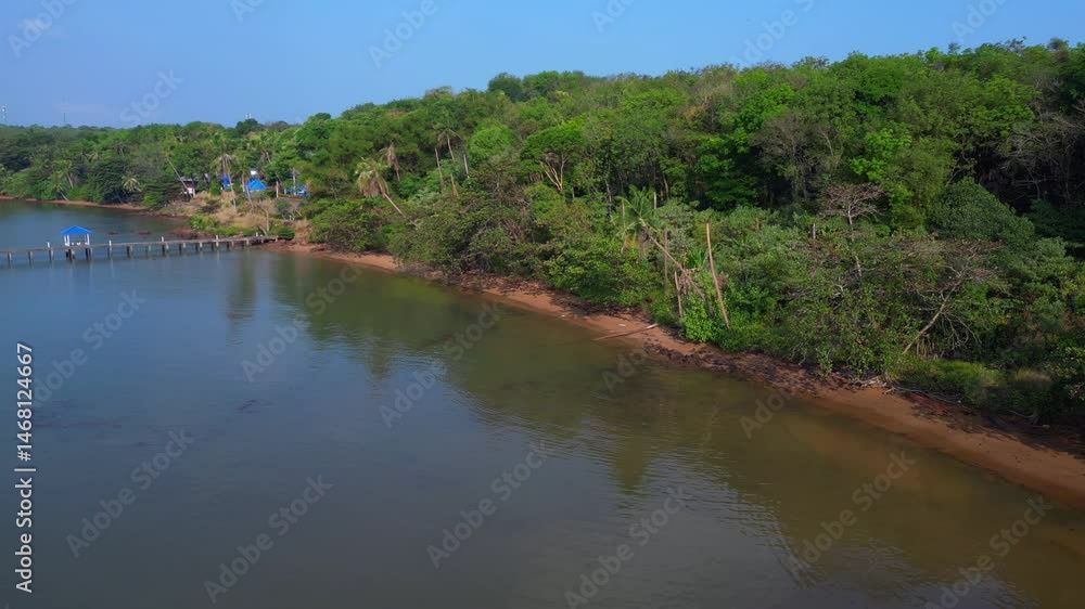 Rainforest, sandy wild beach and calm ocean. Wonderful aerial view flight drone Rainforest, sandy wild beach and calm ocean. Wonderful aerial view flight drone