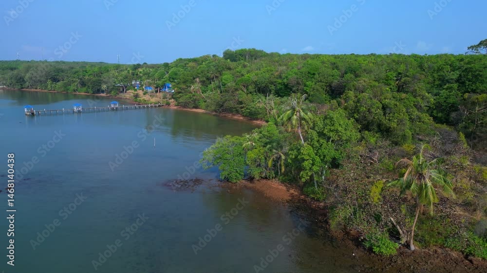 Rainforest, sandy wild beach and calm ocean. Tremendous aerial view flight drone Rainforest, sandy wild beach and calm ocean. Tremendous aerial view flight drone