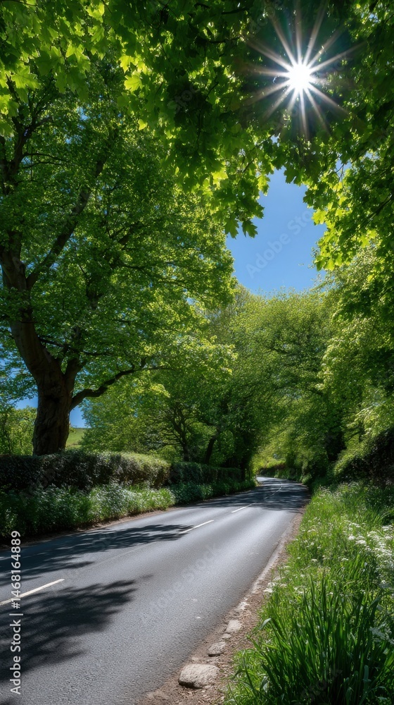 Obraz premium Sunlit Country Road Through Green Canopy Rural Landscape Scenic Route Lush Foliage Sunlight Burst Bright Sunny Day Journey Ahead Peaceful Scenery
