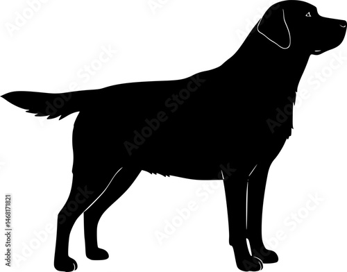 labrador retriever Dog Vector Silhouette, Generative AI.
