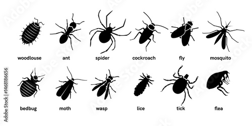 Insect black silhouettes set. Vector illustration for pest control design. Mosquito, fly, bedbug, tick, moth, ant, cockroach, etc. Isolated elements on white background
