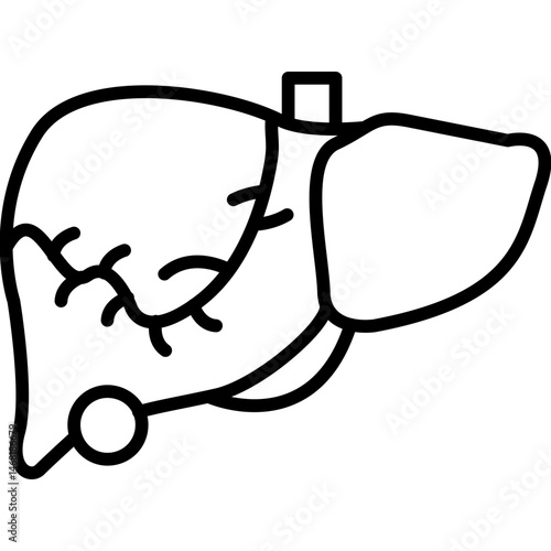 Liver Icon