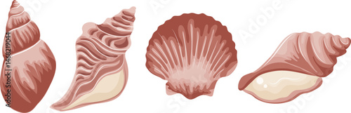 set of various pink icons of seashells, clams, shells and seashells, for various summer or marine designs