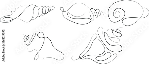 set of icons of various shells, mollusks and shells drawn with several lines in line art style, for various marine designs and company logos