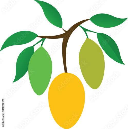 Tropical Mango Branch: A vibrant illustration of a mango branch, featuring ripe and unripe mangoes amidst lush green leaves, radiating freshness and the essence of the tropics.