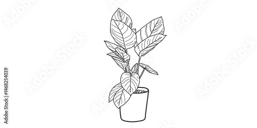 con of flowers in vase and ornamental plants in vase, wedding decoration, special day greeting card for couple. friendly nature card concept.