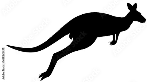 Kangaroo jumping silhouette vector isolated on white background  -  
