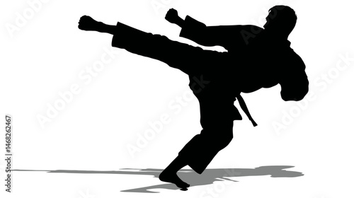 Karate fighter kicking silhouette vector isolated on white background  -  