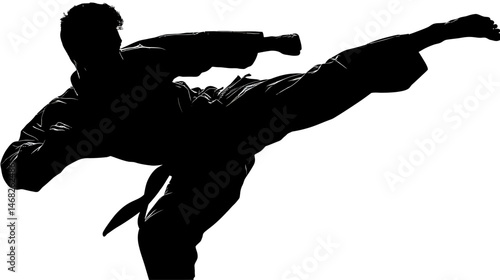 Karate fighter kicking silhouette vector isolated on white background  -  