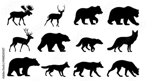 Northern mammals set simple black silhouette vector isolated on white background  -  