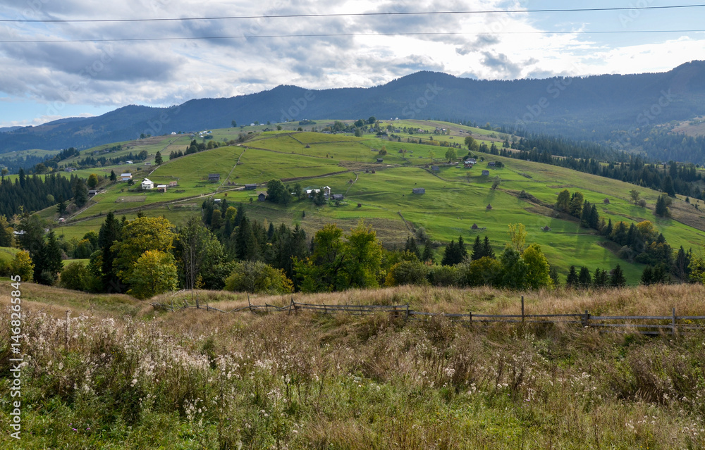 Fototapeta premium Idyllic rural scene featuring green grassy hills, scattered trees, and small country houses against a background of mountains under a cloudy sky. Carpathian Mountains, Ukraine