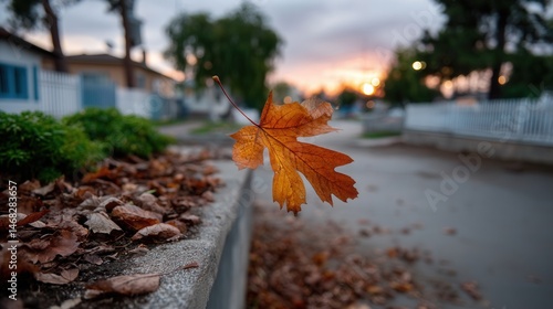 Close-up of a Single Autumn Maple Leaf Hanging from Edge of Garden Bed at Sunset in Neighborhood