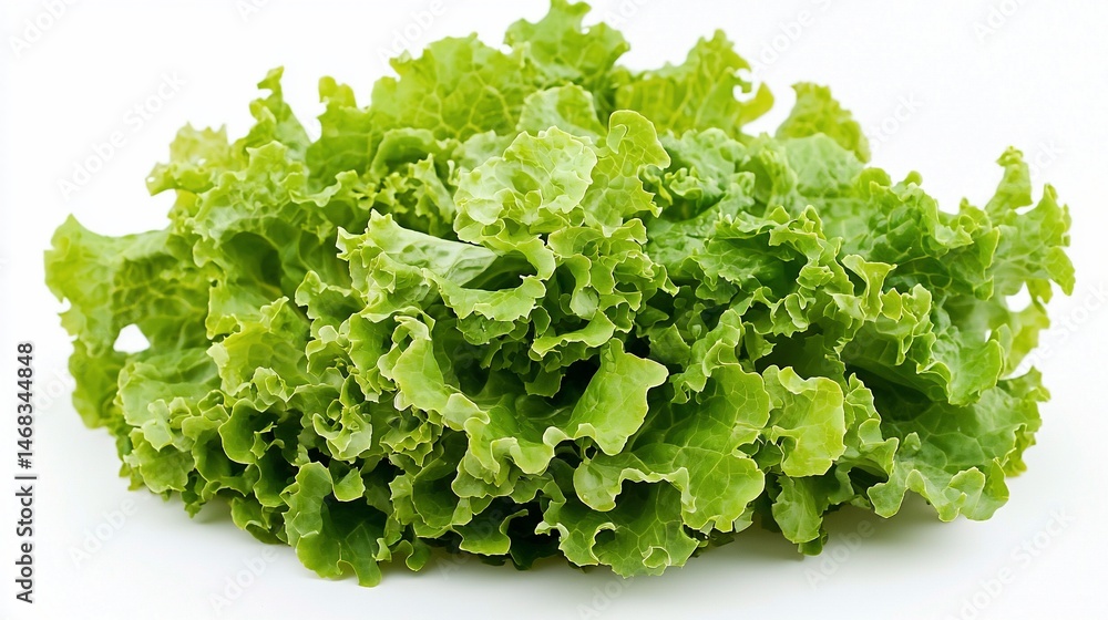 Fresh, vibrant green leaf lettuce, ready to eat Fresh, vibrant green leaf lettuce, ready to eat