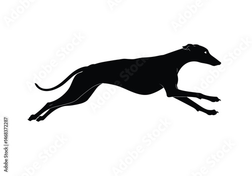 Greyhound running silhouette. This image shows a black silhouette of a greyhound in mid-run, capturing the sleek and agile form of the dog. Vector clipart illustration design.