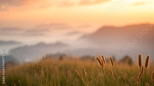 morning fog in the mountains