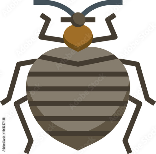bedbug illustration on a white background    