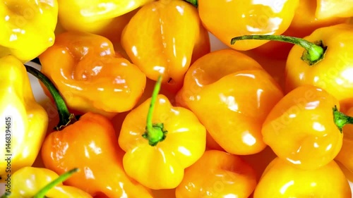 Close-up View of a Collection of Ripe Yellow Habanero Peppers