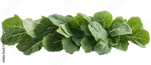 Obraz na płótnie Fresh Spinach Leaves w salonie
