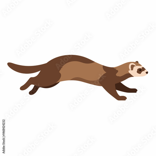 Running Ferret Illustration Mouselike Animal Mammal Rodent Jumping Pet