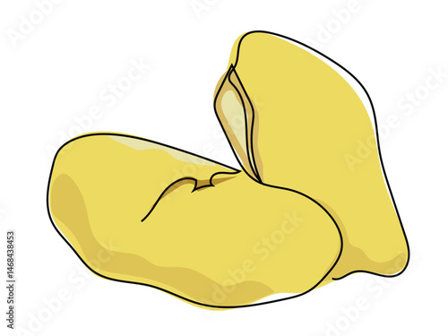 Durian, in continuous line, draws on a white background.