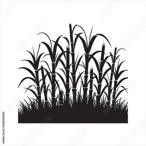 Sugarcane Vector Illustration for Agricultural and Food Design