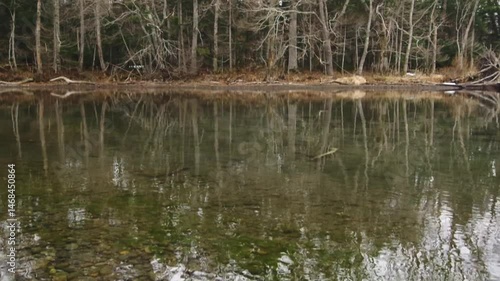 穏やかに揺らめく水面に反射する湖畔の森。