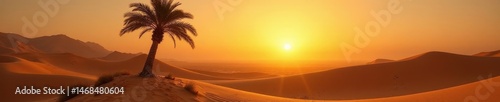 Golden hour light bathes solitary palm in desert oasis , , desert, nature