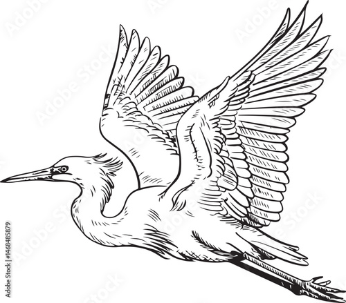 Heron Silhouette SVG – Elegant Bird Design for Nature Crafts & Decor"

"Great Blue Heron Clipart – Minimalist Bird Art for Shirts & Prints"

"Flying Heron SVG – Wildlife Silhouette for Cricut & DIY Pr