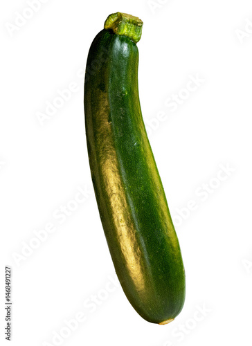 Fresh Whole Zucchini Isolated on Transparent Background