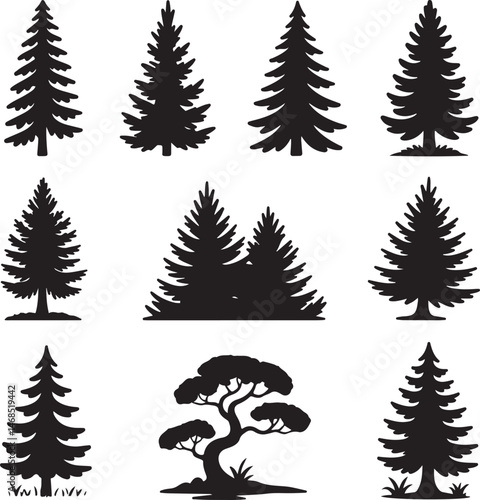 Majestic Pine Tree Silhouette Art

Evergreen Forest Tree Vector

Lone Pine Tree on Mountain Ridge

Minimalist Pine Tree Line Design

Scenic Pine Tree in Wilderness