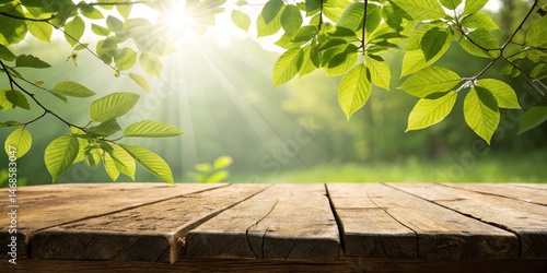 Sunlit Green Leaves Frame R...