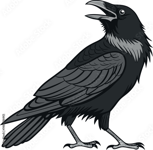 A detailed illustration of a black raven with its beak open standing on its feet