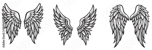 Angel wings silhouettes, Angel wings vector art, hand drawn bird or angel wings of different shape, vector illustration