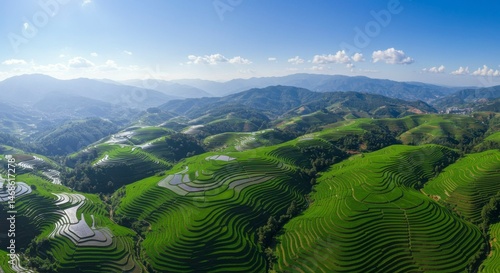Terraced rice paddies in mountainous region. Lush green rice fields cascading down hills