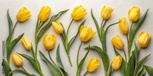 Bright Yellow Tulips on Bei...