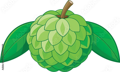 A detailed vector art illustration of a ripe sugar apple fruit, showcasing its textured green skin and creamy segmented interior in vibrant colors.