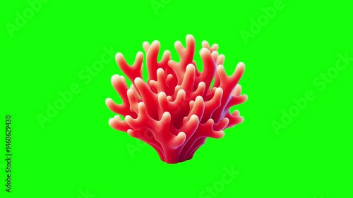 Coral green screen animation motion graphic in 4K high resolution.