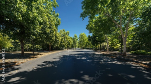 Sunny avenue lined with trees, tranquil park scene