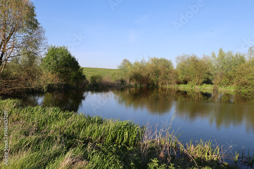 A tranquil landscape with a smooth water surface, a small island with reeds, and a fallen tree on the shore. Reflections in the water emphasize the natural beauty and harmony.