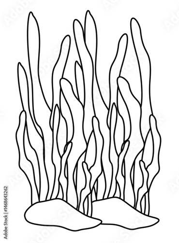 Outline of Seaweed - Vector Illustration.