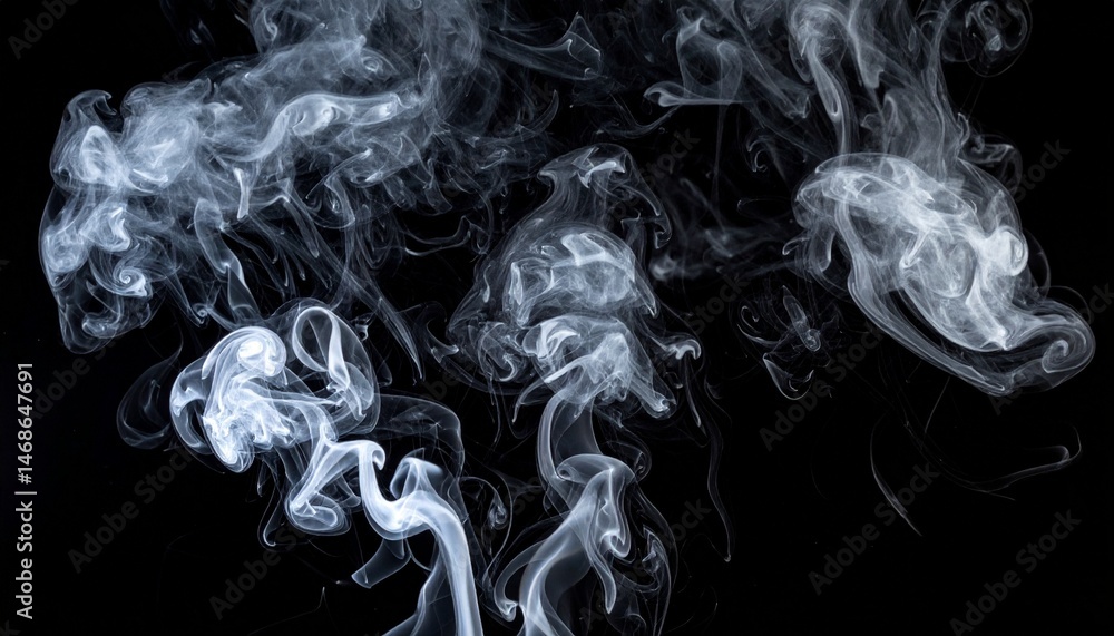 Fototapeta premium 暗闇に漂う白い煙とスモークの演出