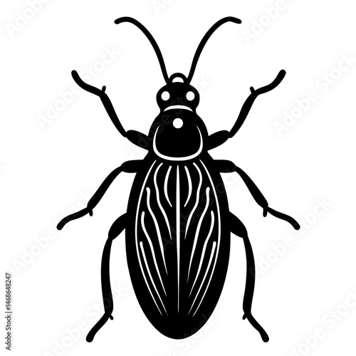 vector illustration of a beetle