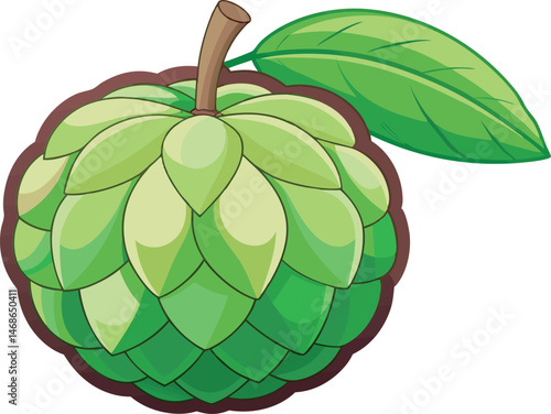 A vibrant vector art illustration of a sugar apple fruit, showcasing its unique segmented texture, lush green color, and tropical freshness.