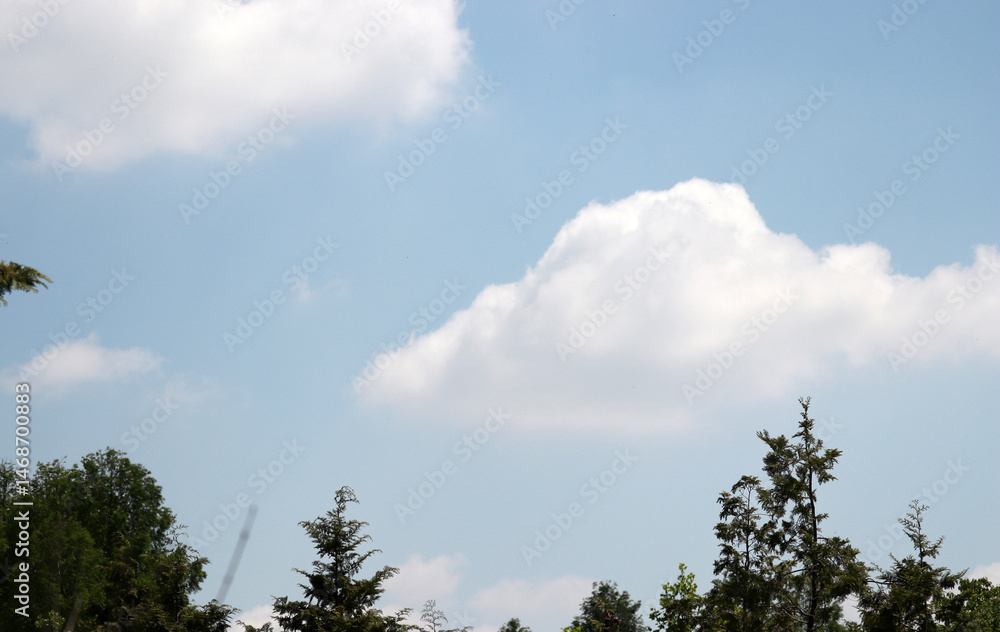 Fototapeta premium The blue sky and clouds with trees. 