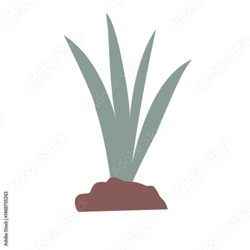 garden plant illustration