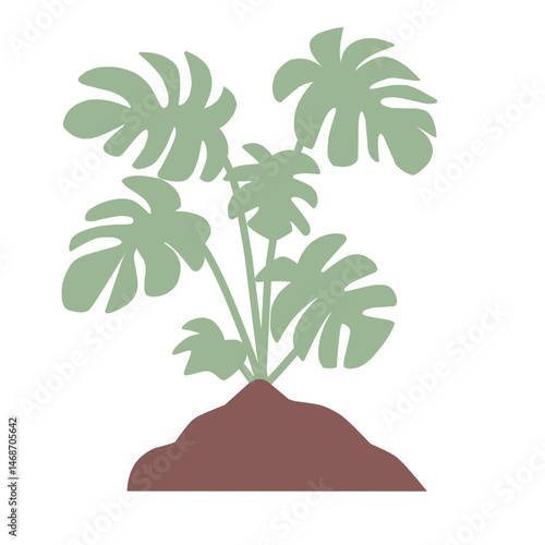 garden plant illustration